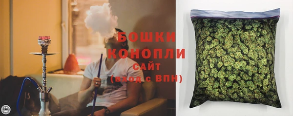 МДПВ Лиски