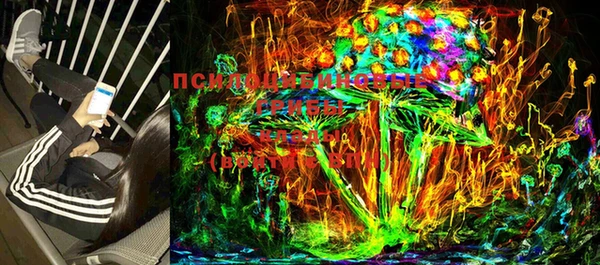 МДПВ Лиски