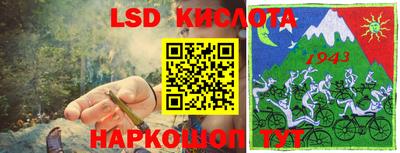 прущие грибы Будённовск