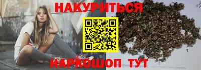 прущие грибы Будённовск