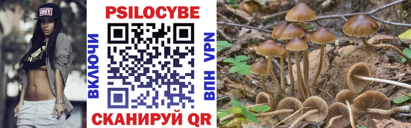 Галлюциногенные грибы MAGIC MUSHROOMS  Острогожск 