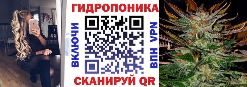 Бошки Шишки семена  Острогожск 